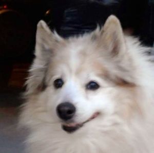 Meet your Posher, Lynn